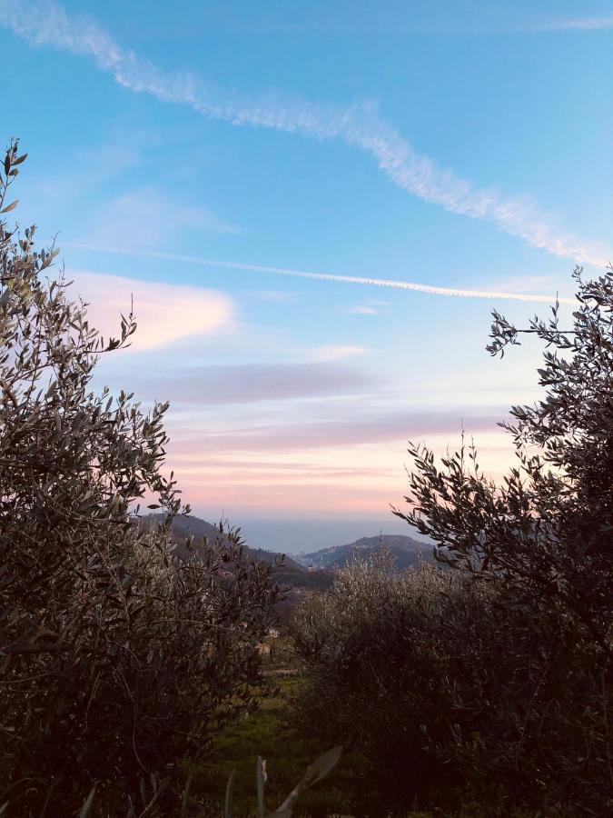 Bed And Breakfast Ca Du 5 Tovo San Giacomo エクステリア 写真